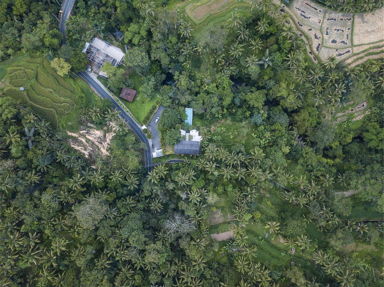 Sandhya Villa Ubud Esterno foto